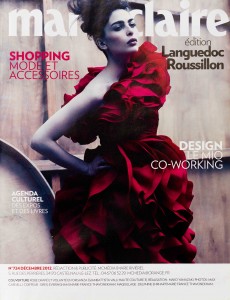 Magazine Deco Marie-Claire #724 12.2012
