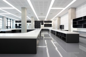 Salle de lecture Pierres Vives Zaha Hadid Stéphane Hof
