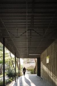 extension université paul valery préau