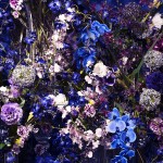 sia-fleurs-flowers-home-fashion-deco-interior-design-mc-lucat-printemps-ete-2017