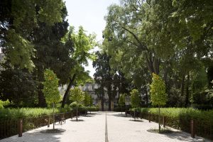 PCA-architectes-architecture-archilovers-architecturephotography-MoCo-centredartcontemporain-montpellier