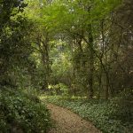 chateaumontcaud-sabran-castle-hotel-nature-parc-garden-mariecarolinelucat-2017