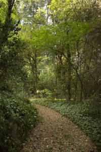 chateaumontcaud-sabran-castle-hotel-nature-parc-garden-mariecarolinelucat-2017