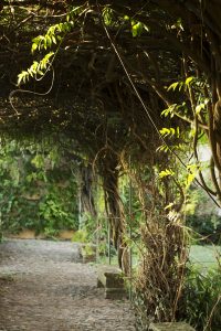 chateaumontcaud-sabran-castle-hotel-nature-parc-garden-mariecarolinelucat-2017
